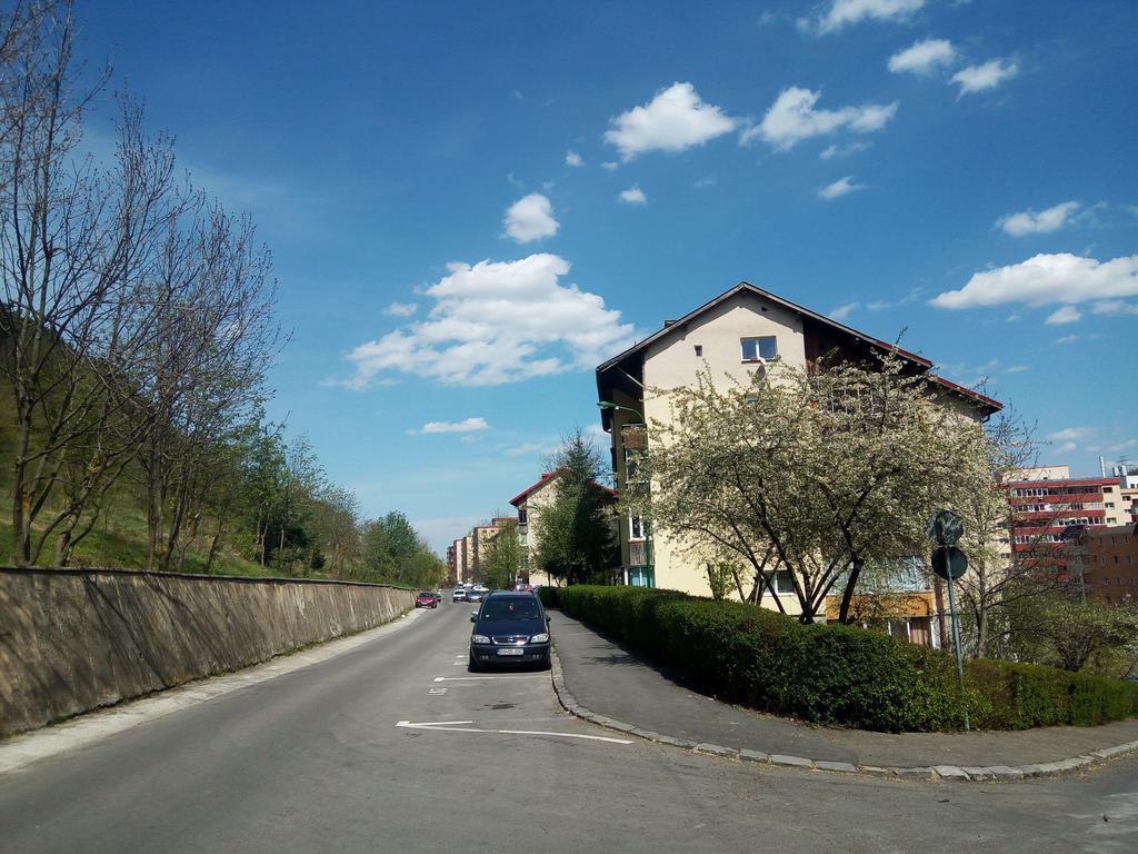 Lexy's Brasov
